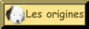 Lesorigines.jpg