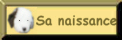 sanaissance.jpg