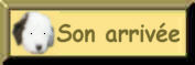 sonarrive.jpg